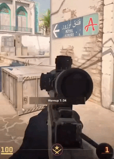 GIF 1